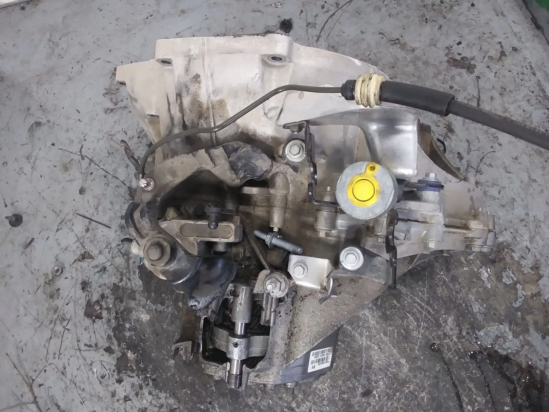 Despiece Caja Cambios para Ford Focus Lim.