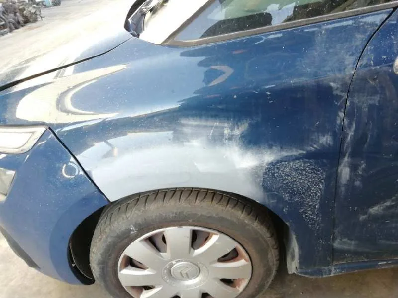 Aleta Delantera Izquierda para Citroën C4 Picasso