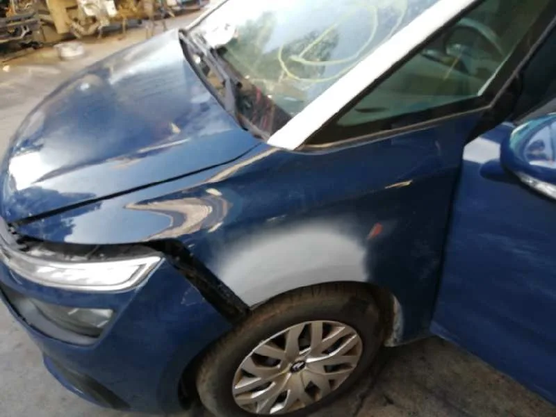 Aleta Delantera Izquierda para Citroën C4 Picasso