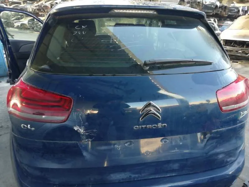 Porton Trasero para Citroën C4 Picasso