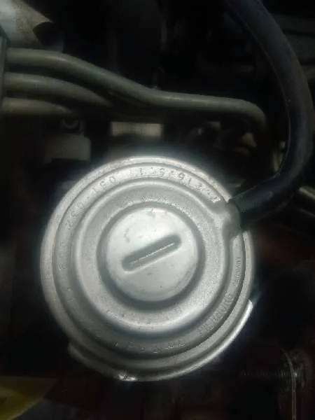 Motor Completo para Audi A4 Berlina (8E)