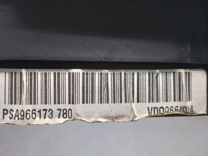 Cuadro Instrumentos para Citroën Xsara Picasso