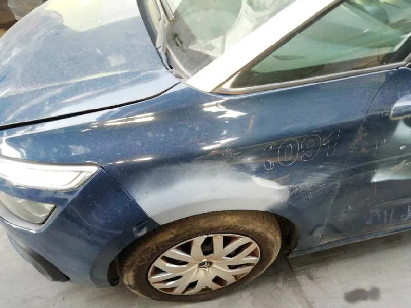 Aleta Delantera Izquierda para Citroën C4 Picasso