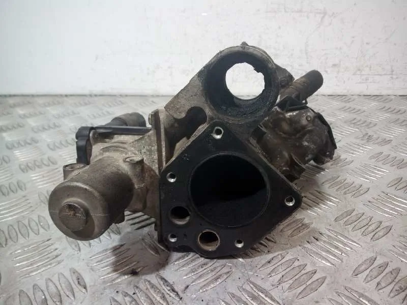 Valvula Egr para Renault Scenic Ii