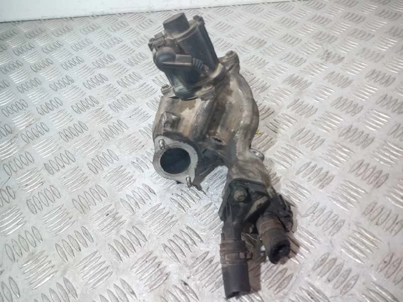 Valvula Egr para Renault Scenic Ii