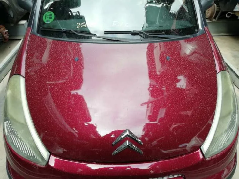 Capot para Citroën C3 Pluriel