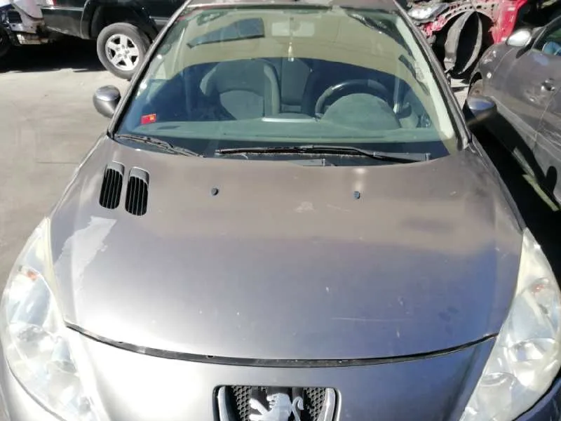 Capot para Peugeot 206+