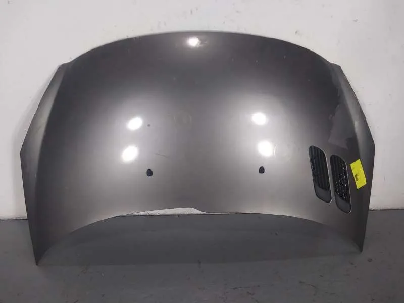 Capot para Peugeot 206+