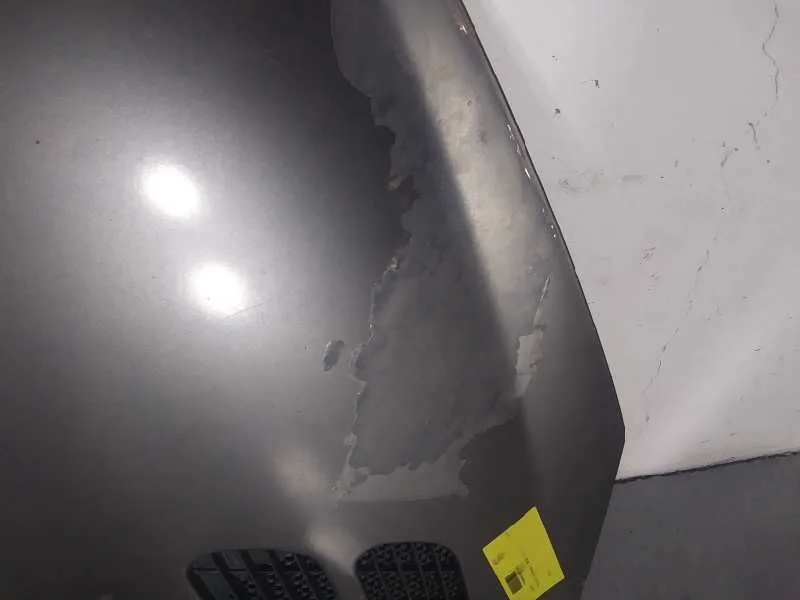 Capot para Peugeot 206+