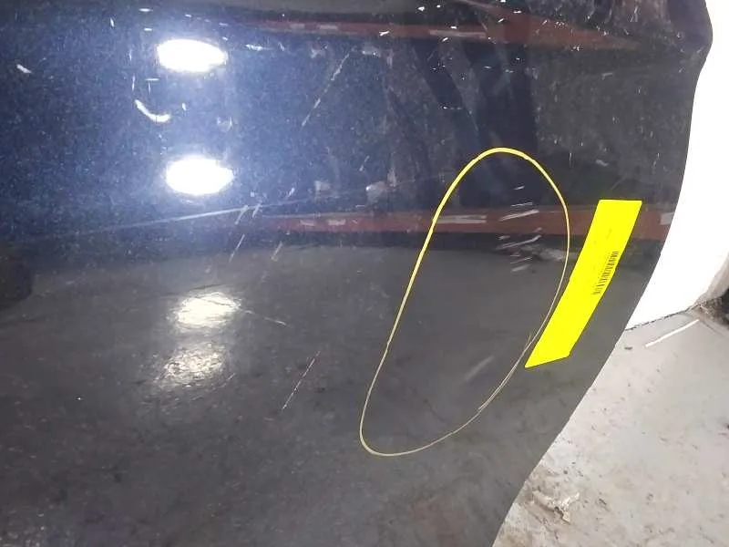 Puerta Delantera Derecha para Bmw Serie 5 Lim. (F10)