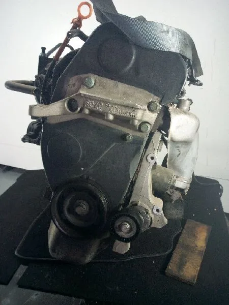 Despiece Motor para Seat Ibiza (6L1)