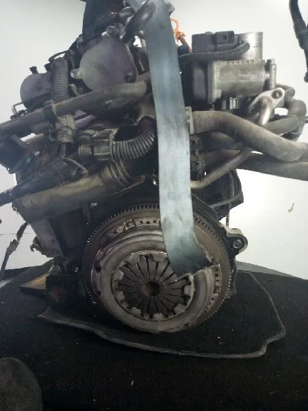 Despiece Motor para Seat Ibiza (6L1)