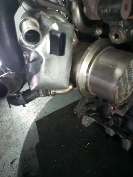 Enfriador Egr para Seat Leon (5F1)