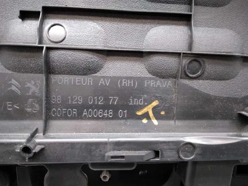 Guarnecido Puerta Delantera Derecha para Citroën C3