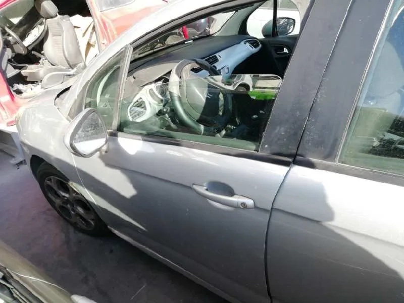 Puerta Delantera Izquierda para Citroën C3