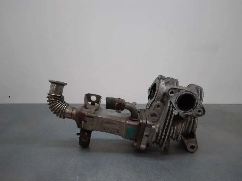 Enfriador Egr para Renault Scenic Ii