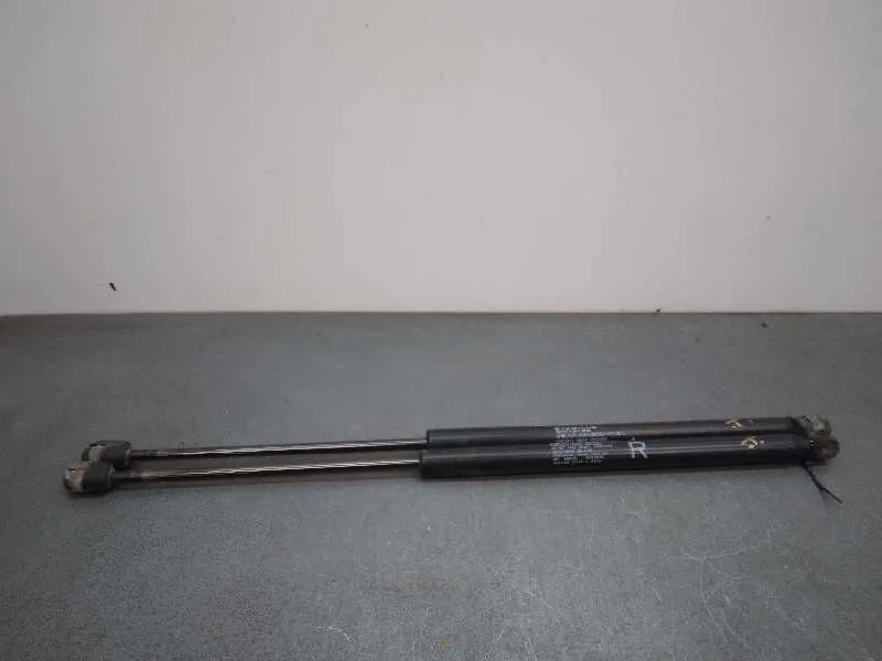 Amortiguadores Maletero / Porton para Citroën C-Crosser