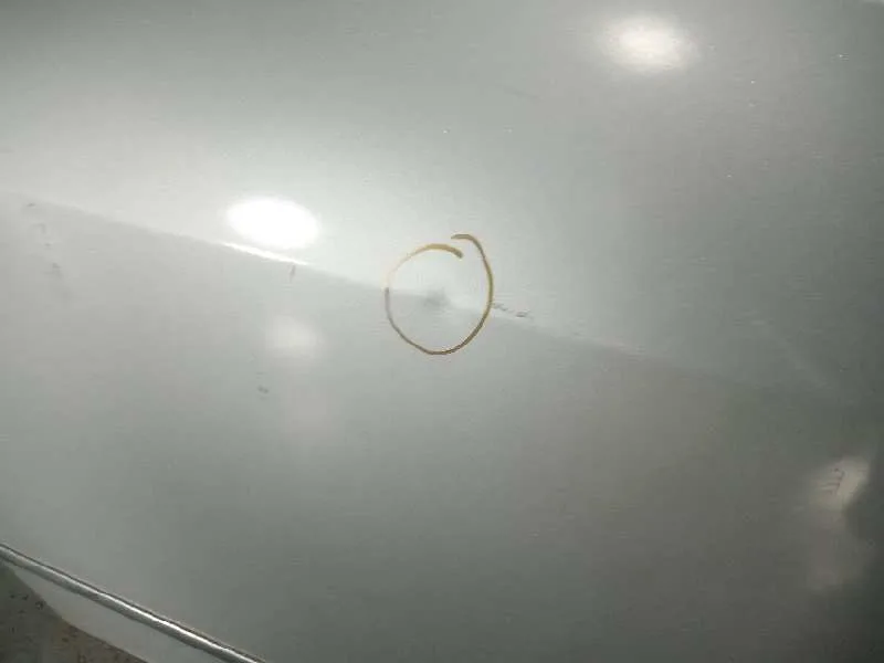 Puerta Delantera Derecha para Fiat Linea (110)