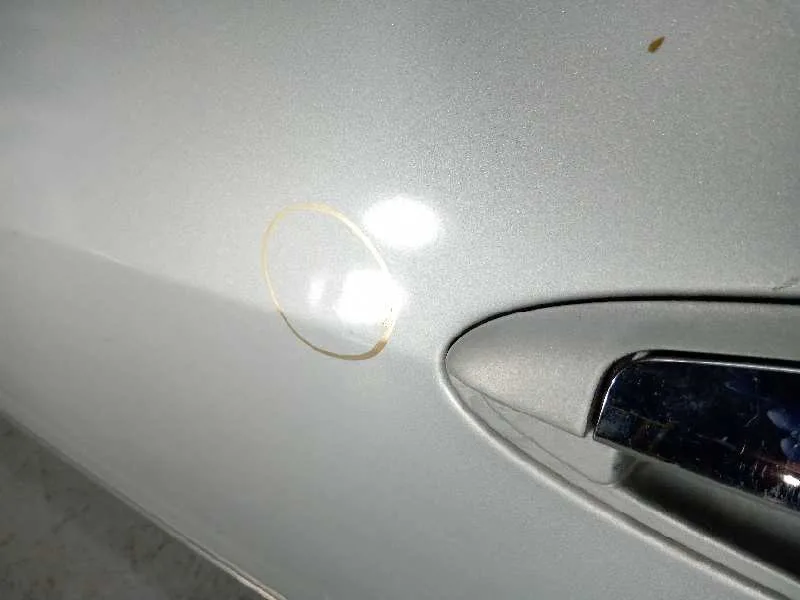 Puerta Delantera Izquierda para Fiat Linea (110)
