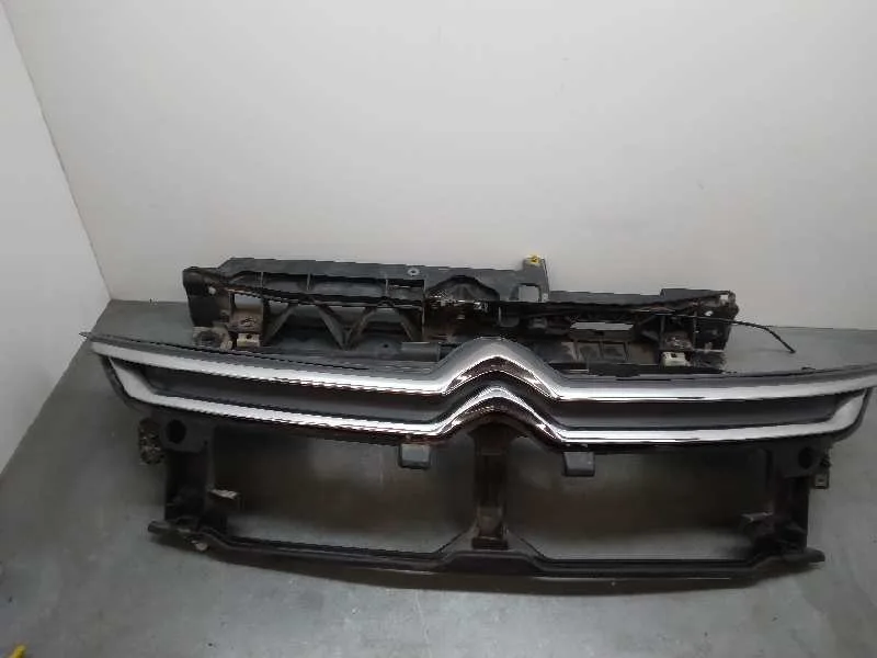 Panel Frontal para Citroën C4 Picasso