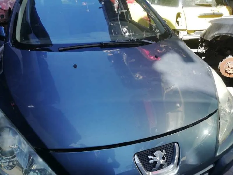 Capot para Peugeot 307 Break/Sw (S2)