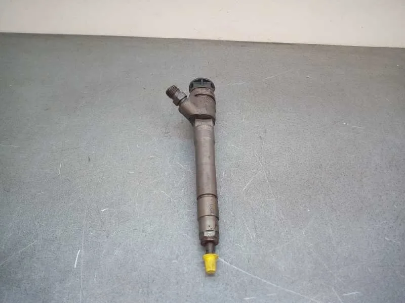 Inyector para Nissan Qashqai (J11)