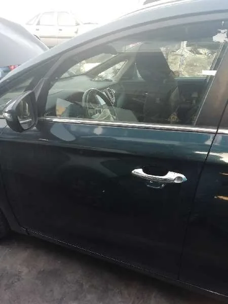 Puerta Delantera Izquierda para Kia Carens ( )