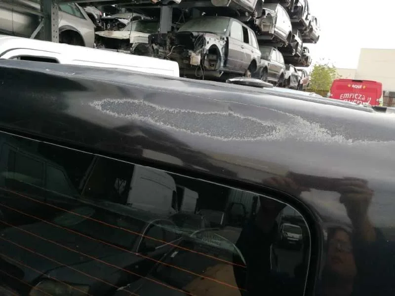 Puerta Trasera Derecha para Renault Trafic Combi (Ab 4.01)