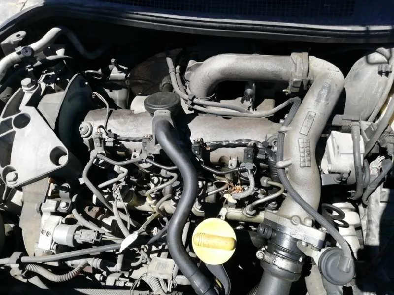 Despiece Motor para Renault Megane Ii Berlina 5P