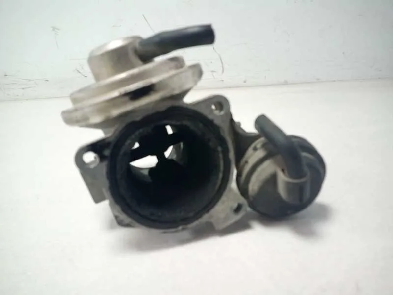 Valvula Egr para Seat Ibiza (6L1)