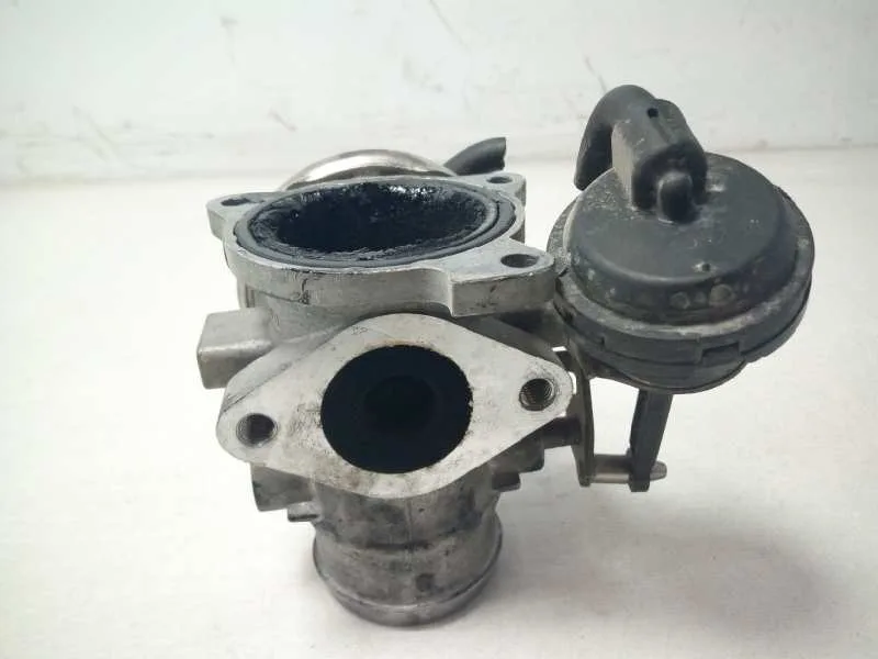 Valvula Egr para Seat Ibiza (6L1)