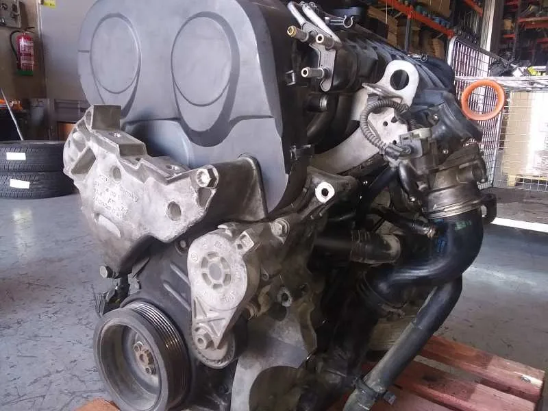 Despiece Motor para Seat Leon (1P1)