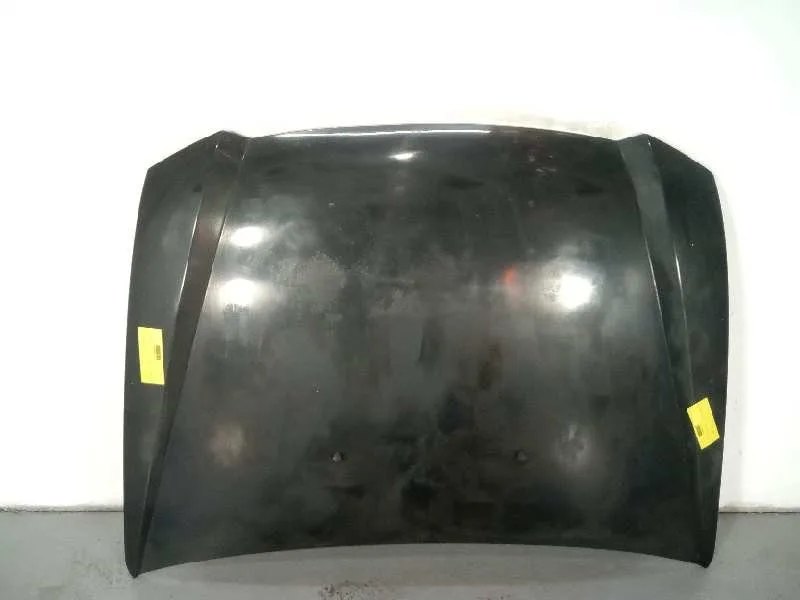 Capot para Fiat Stilo (192)
