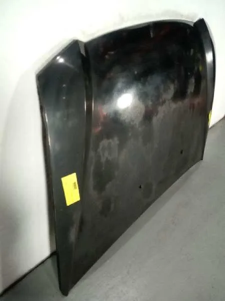 Capot para Fiat Stilo (192)