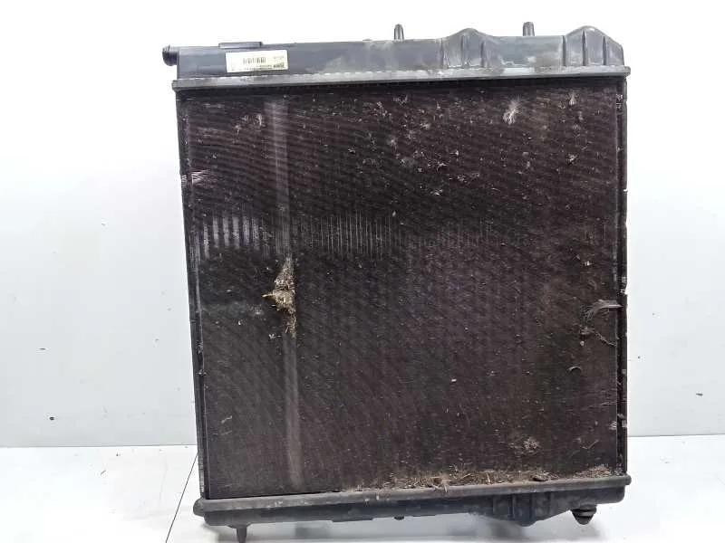 Radiador Agua para Peugeot 207