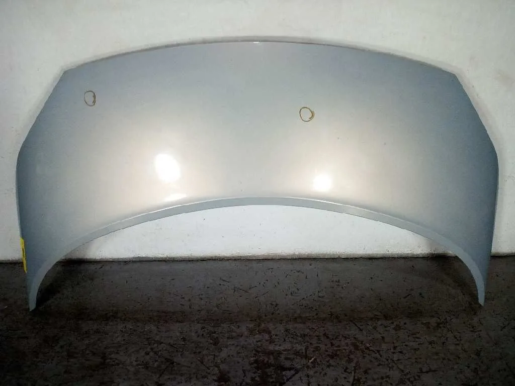 Capot para Renault Scenic Ii