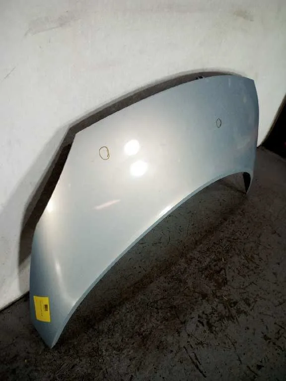 Capot para Renault Scenic Ii
