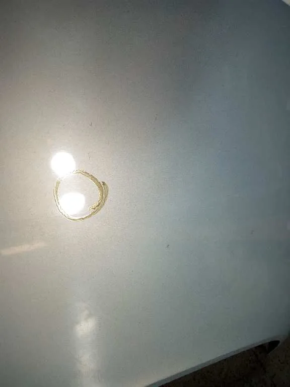 Capot para Renault Scenic Ii