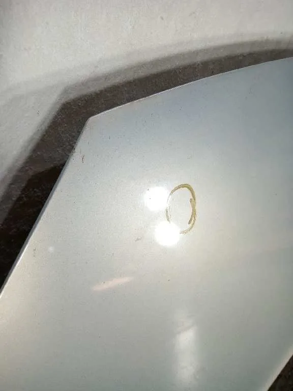 Capot para Renault Scenic Ii