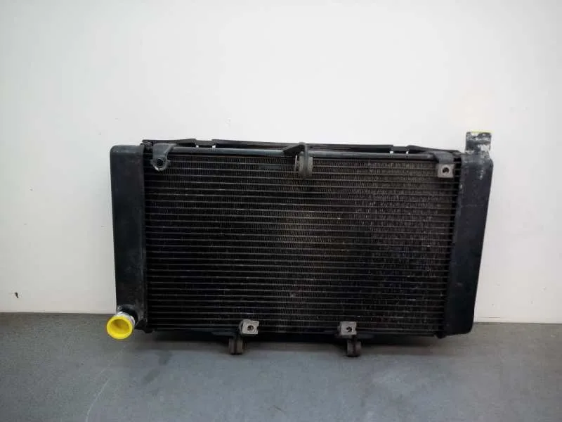 Radiador Agua para Honda Cb/Cbf 600 / 900 Hornet /Cbf 1000
