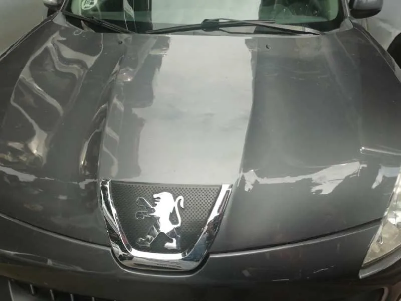 Capot para Peugeot 4007