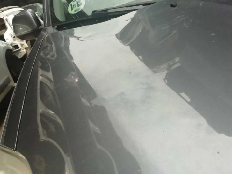 Capot para Peugeot 4007