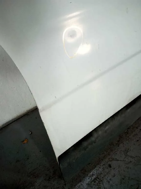 Puerta Delantera Derecha para Renault Trafic Caja Cerrada (Ab 4.01)