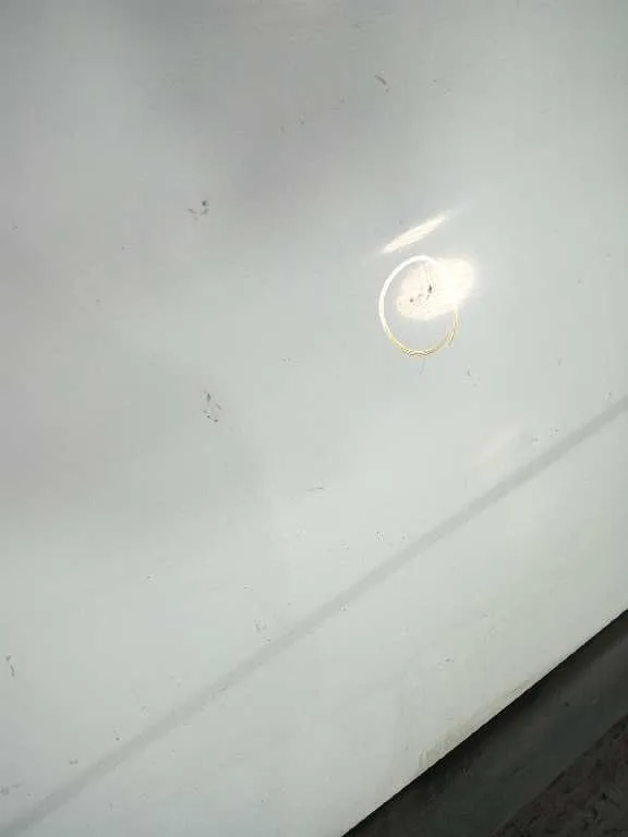Puerta Delantera Derecha para Renault Trafic Caja Cerrada (Ab 4.01)