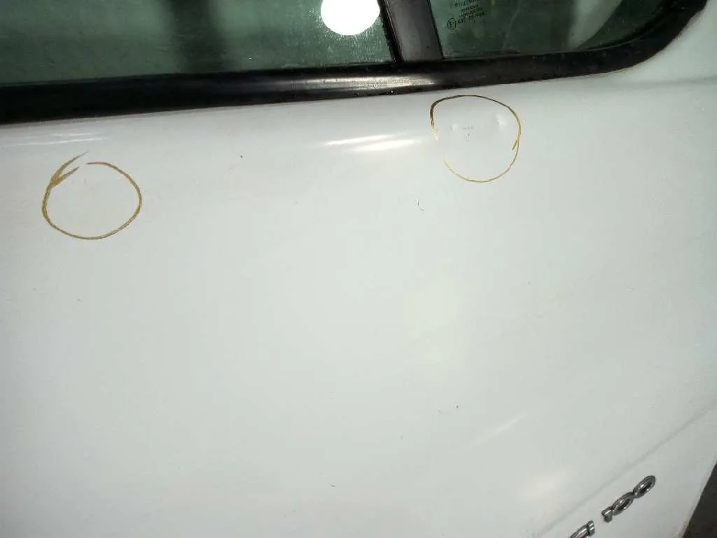 Puerta Delantera Derecha para Renault Trafic Caja Cerrada (Ab 4.01)