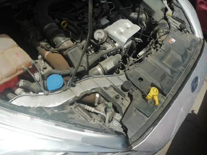 Panel Frontal para Ford Focus Lim. (Cb8)