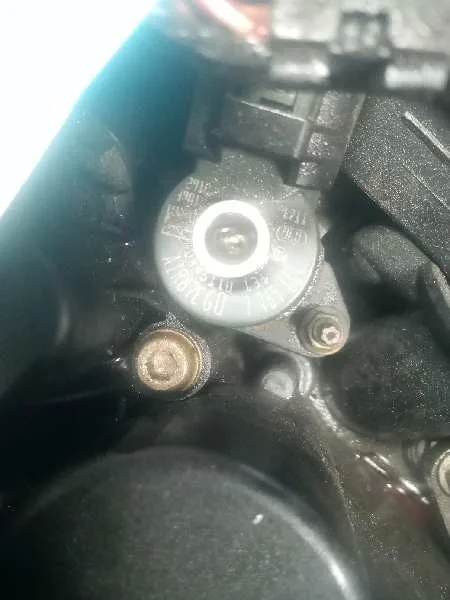Inyector para Bmw Serie 3 Compact (E46)
