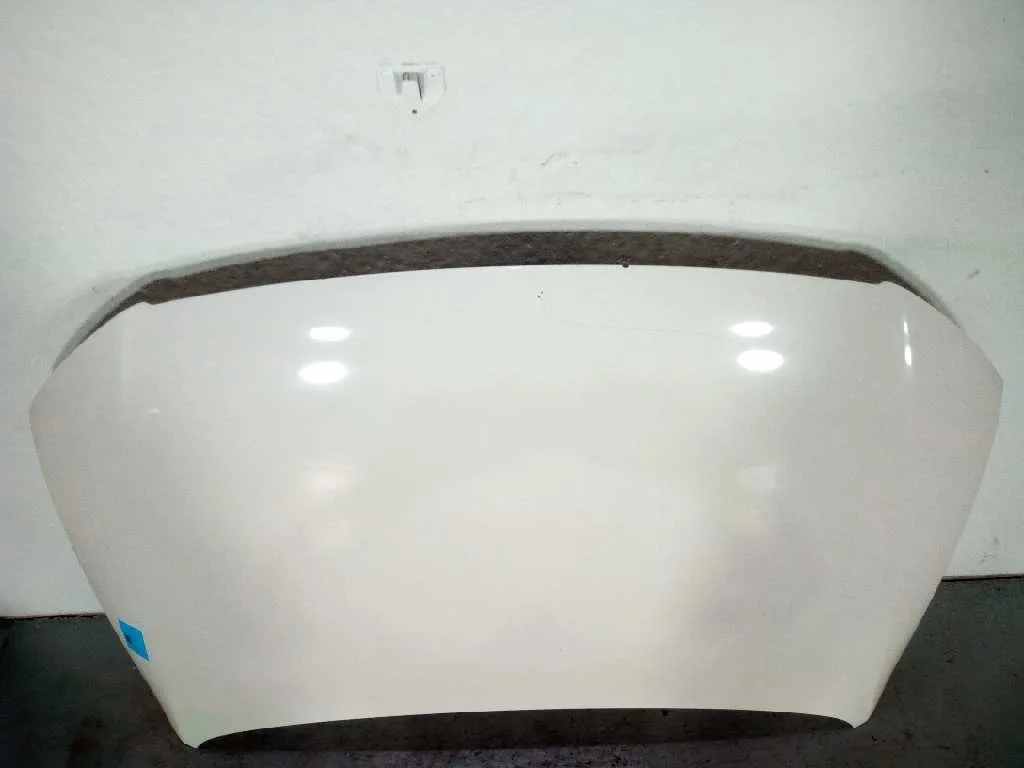 Capot para Volkswagen Passat Variant (3C5)