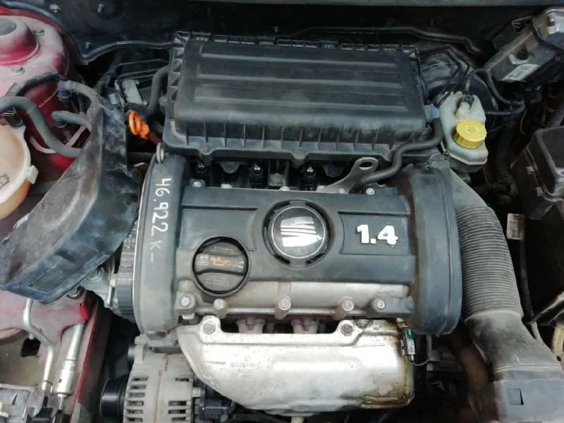 Despiece Motor para Seat Ibiza (6L1)