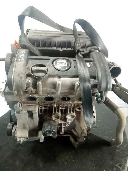 Despiece Motor para Seat Ibiza (6L1)
